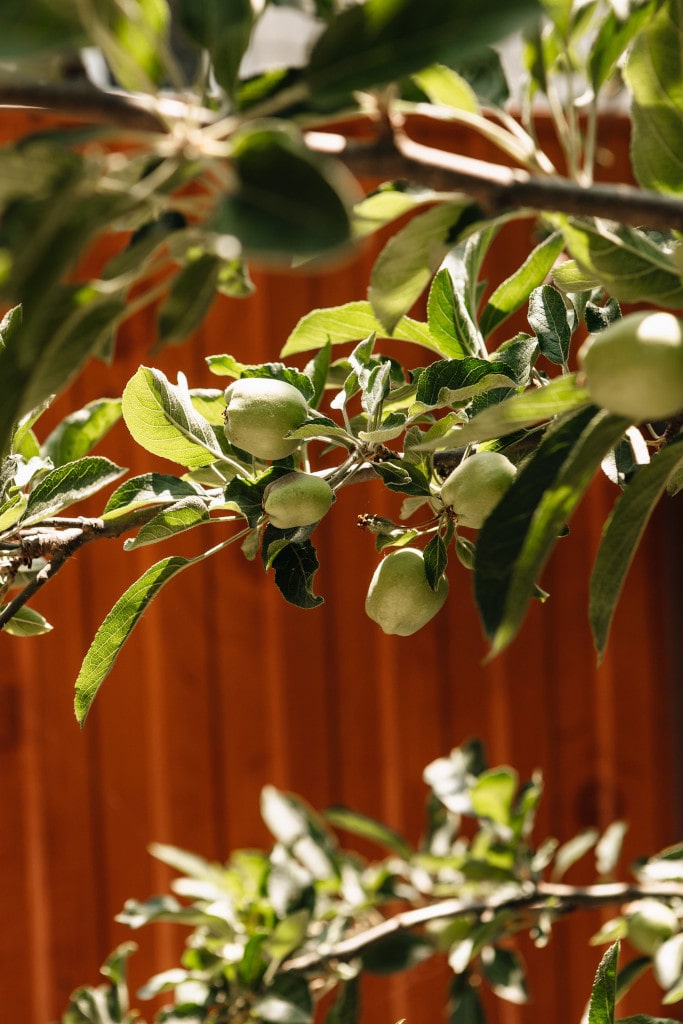 На территории